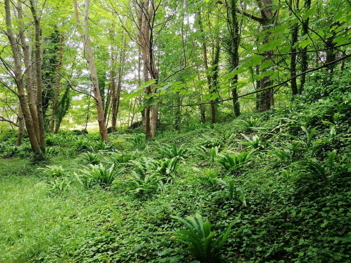 Les Hauts Vents Ferienhaus